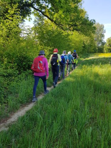 02.05.26 Frühlingswanderung Frauen I und II